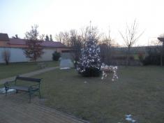 Vánoční strom 2012 