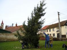 Vánoční strom 2007 