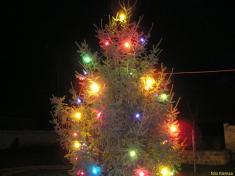 Vánoční strom 